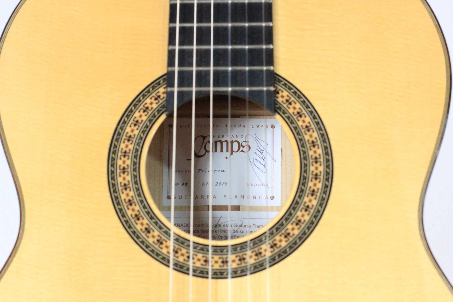 Camps Primera - Flamenca Blanca