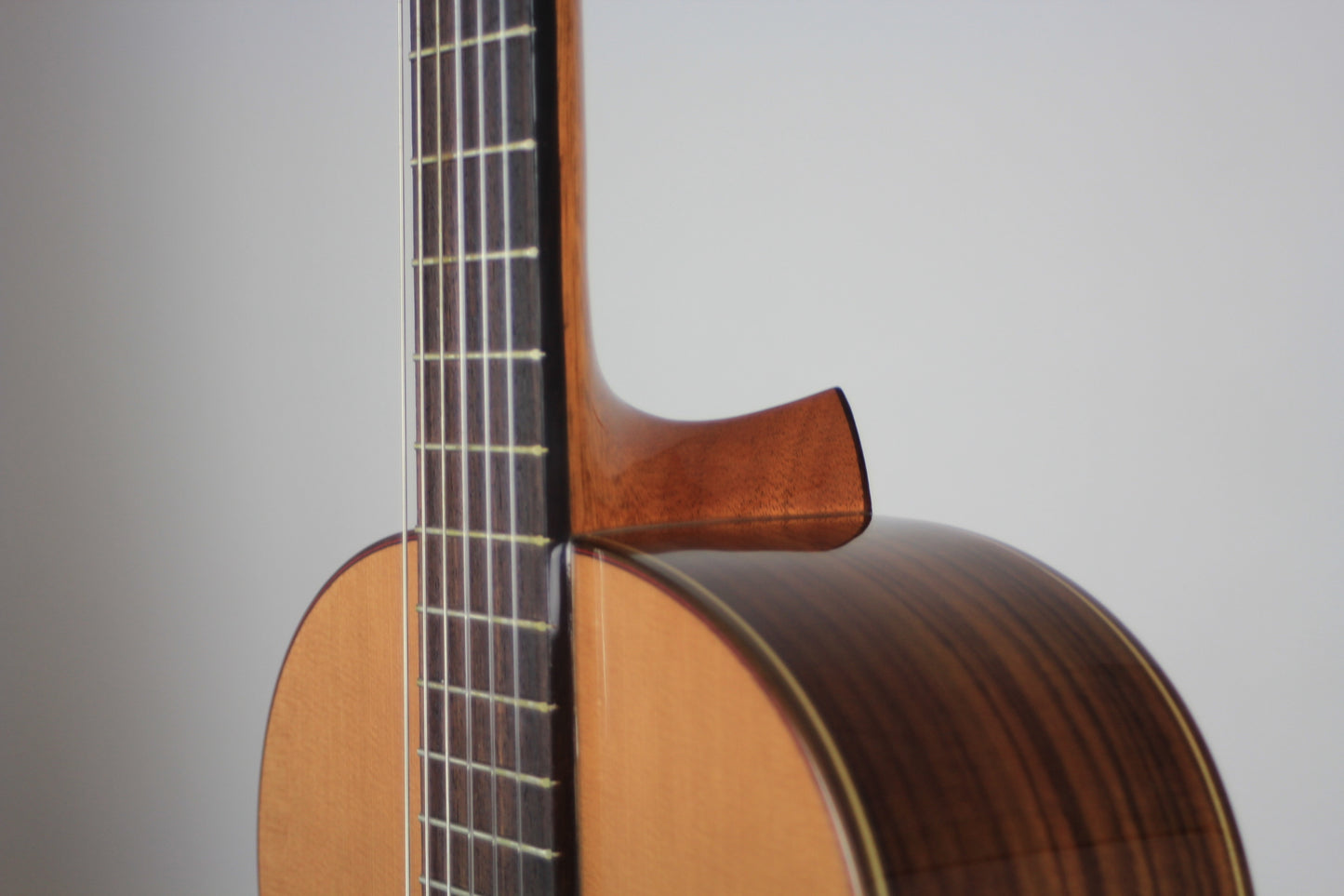 Altamira - N300