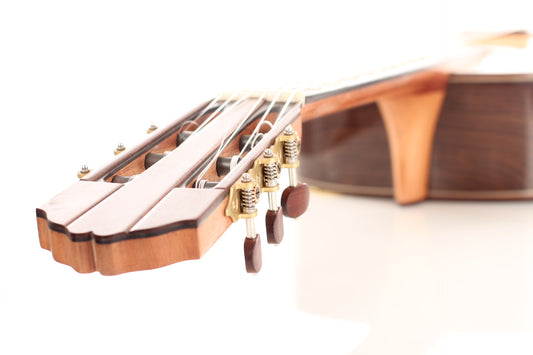 Giannis Paleodimopoulos - 2015 img-2