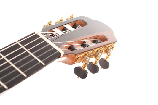 Francois Regis Leonard - 2016 img-2