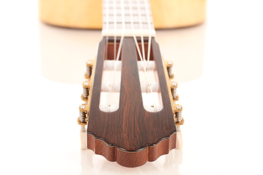 John Ray - 2016 img-2