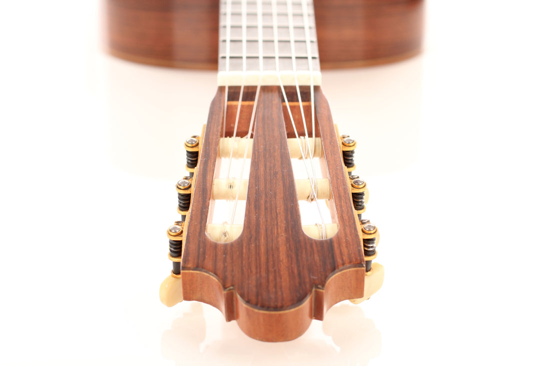 Martin Fleeson - 1984