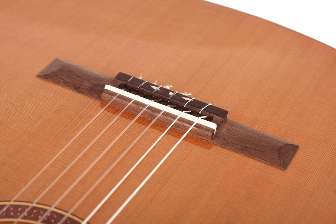 Otto Rauch - Doubletop 2015