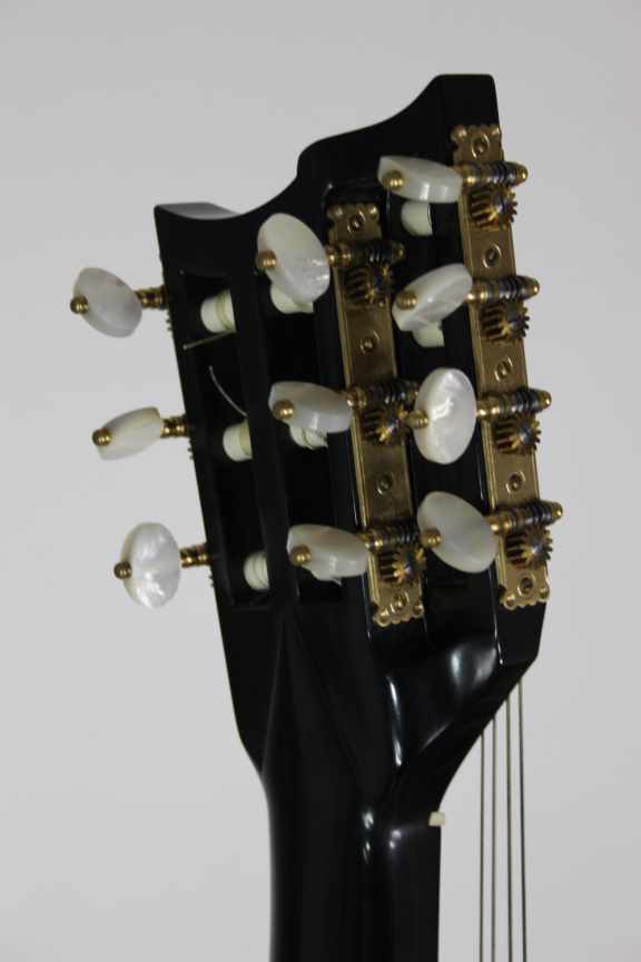 Gary Southwell Lacôte 10-string – 1984