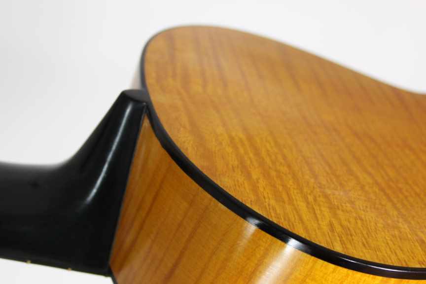 Gary Southwell Lacôte 10-string – 1984