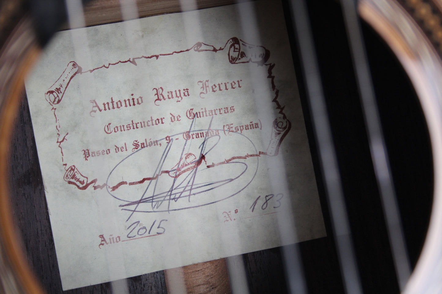 Antonio Raya Ferrer - 2015