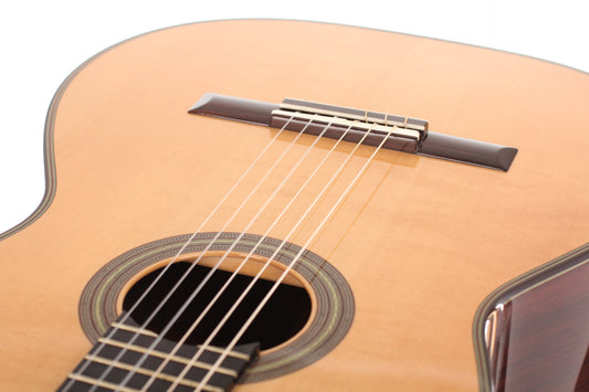 Hermann Hauser ® III - 2013 img-2