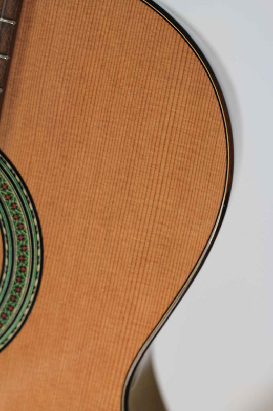 Altamira - N200 img-2