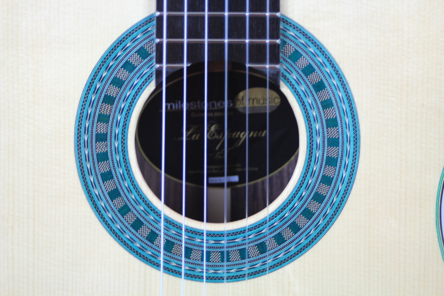 Milestones - Torres Model