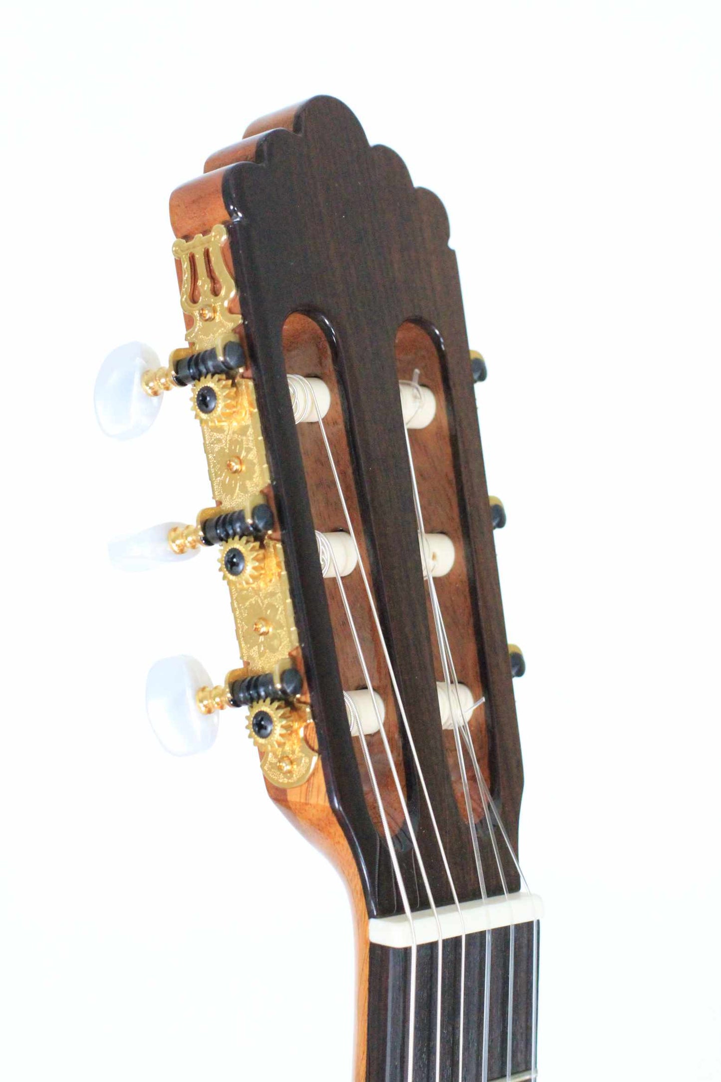 Altamira - N 300F Flamenco