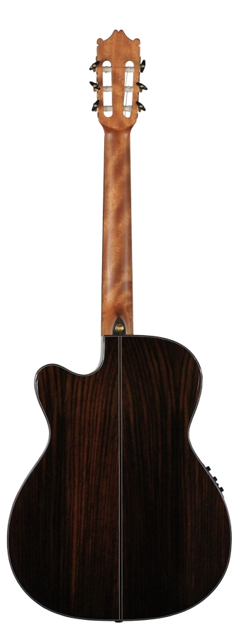 Ibanez - GM600CE-NT
