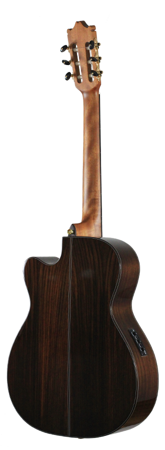 Ibanez - GM600CE-NT