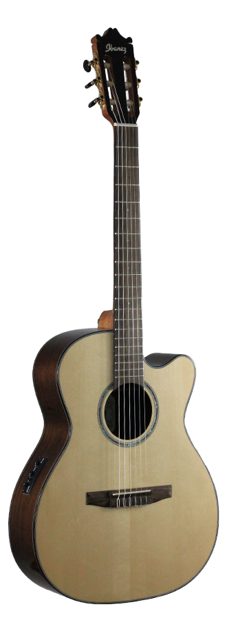 Ibanez - GM600CE-NT