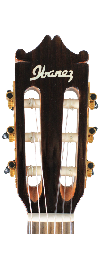 Ibanez - GM600CE-NT