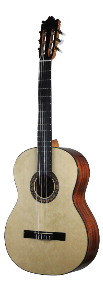Ibanez - G10-NT