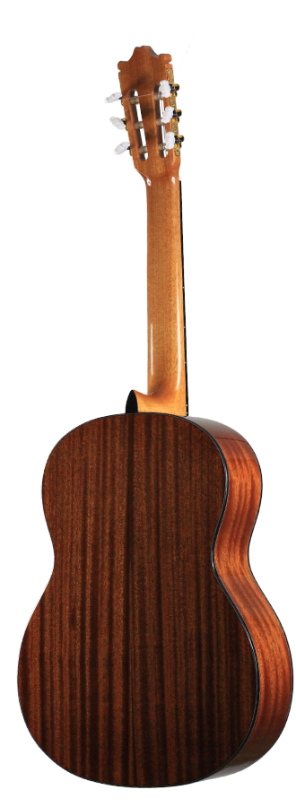 Ibanez - G10-NT