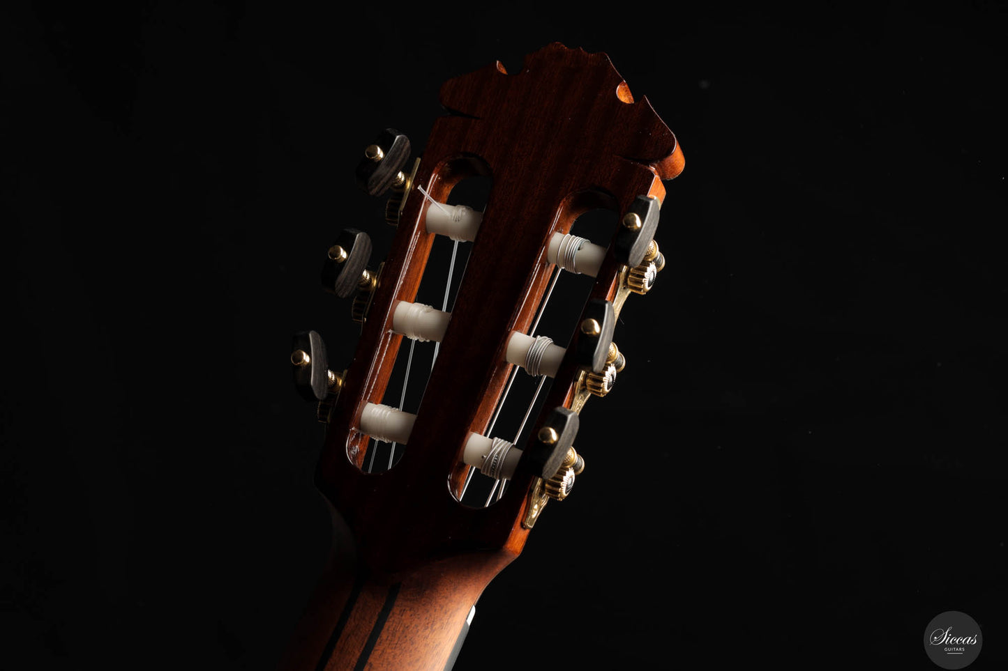 Jan Schneider - 2024 Cedar Doubletop No. 648