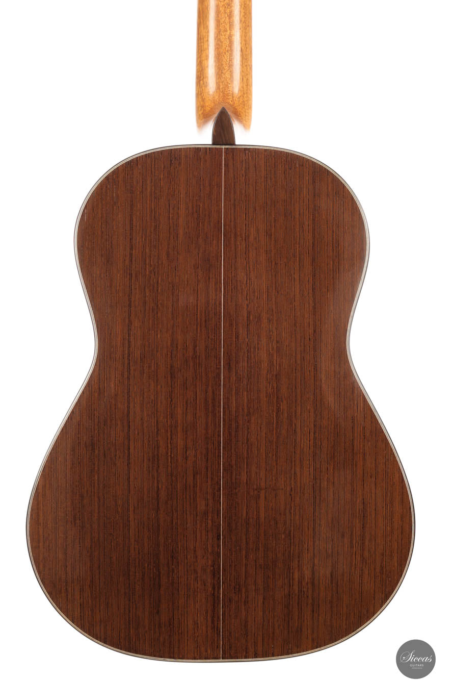 Jialan Chen - 2024 - Coclea Thucea “Fibonacci”