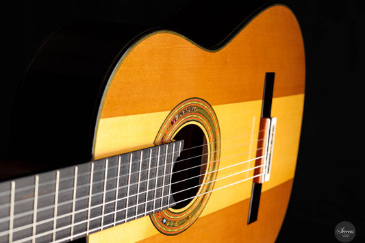 Jialan Chen - 2024 Coclea Thucea “Fibonacci” 64 cm img-2