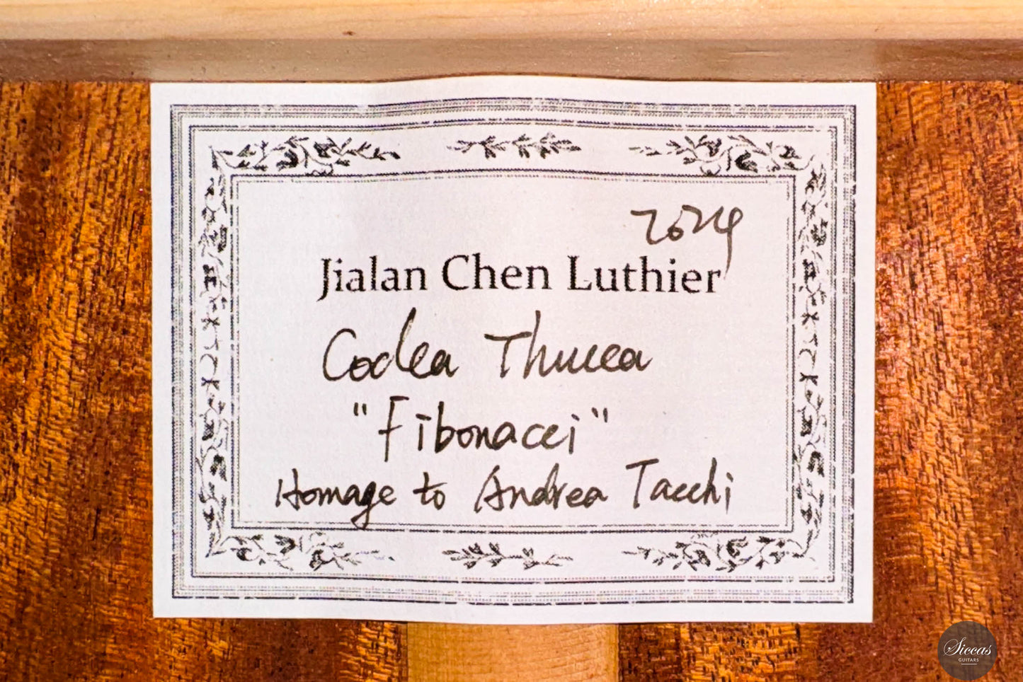 Jialan Chen - 2024 - Coclea Thucea “Fibonacci”