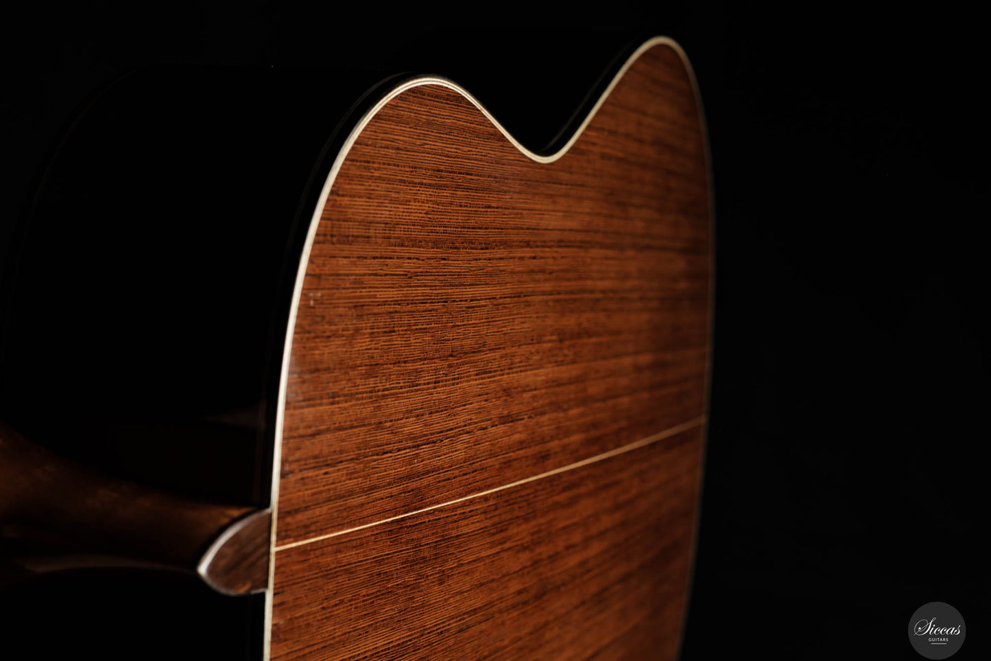 Jialan Chen - 2024 - Coclea Thucea “Fibonacci”