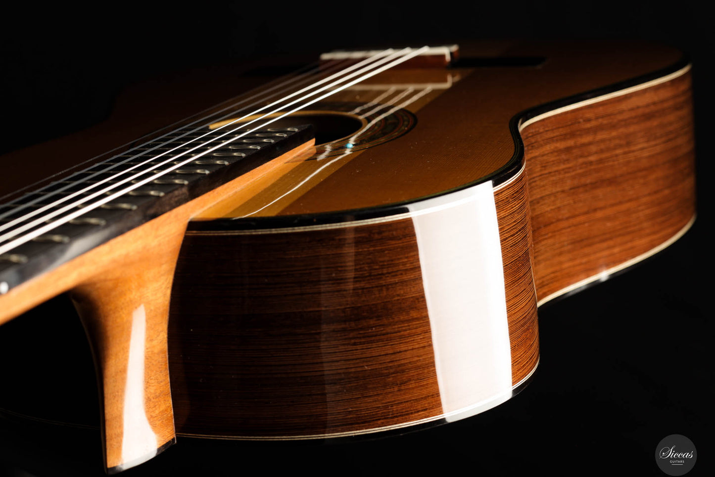 Jialan Chen - 2024 Coclea Thucea “Fibonacci” 64 cm