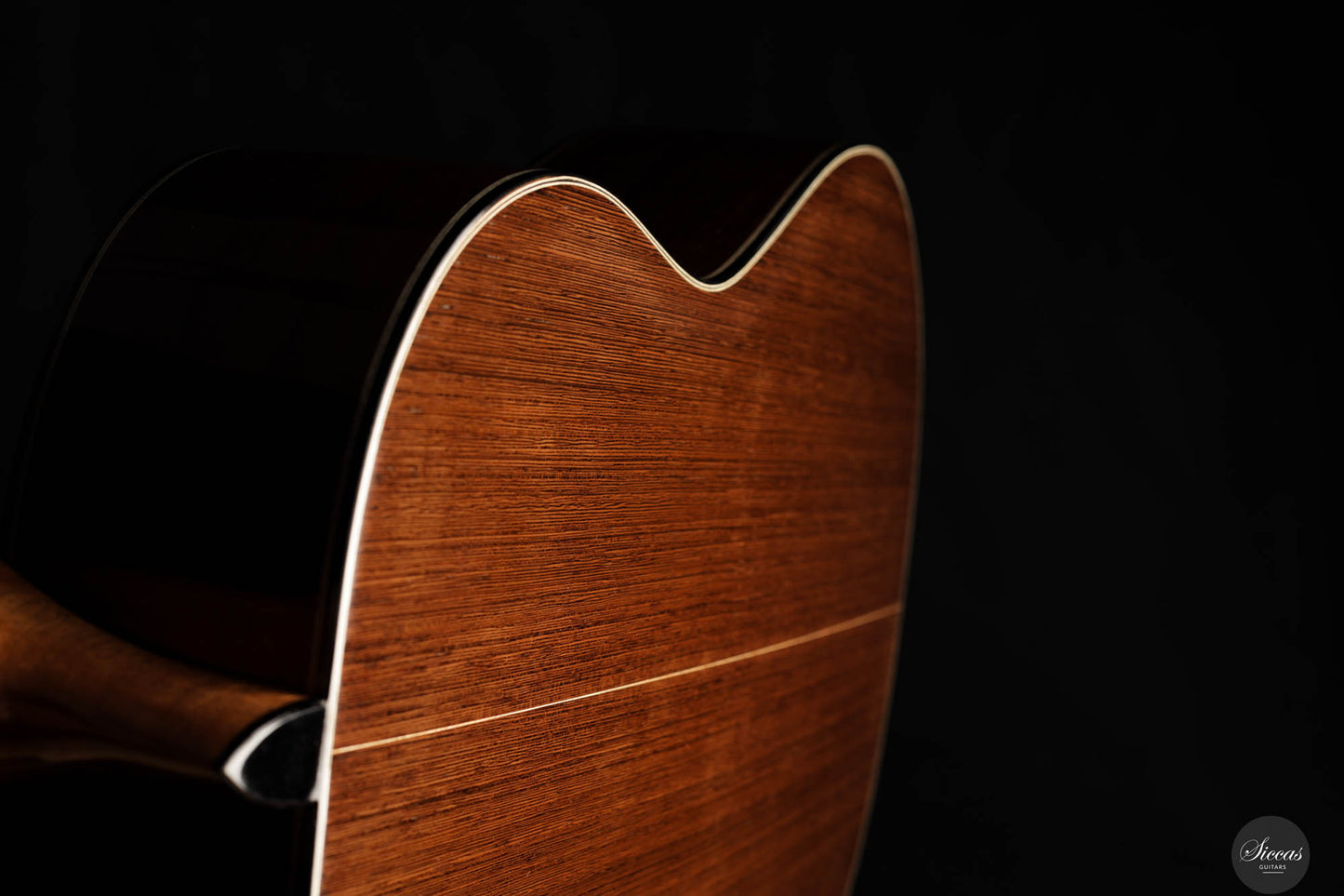 Jialan Chen - 2024 Coclea Thucea “Fibonacci” 64 cm