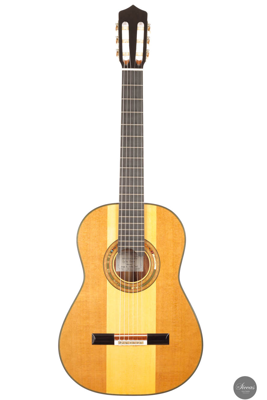 Jialan Chen - 2024 - Coclea Thucea “Fibonacci”