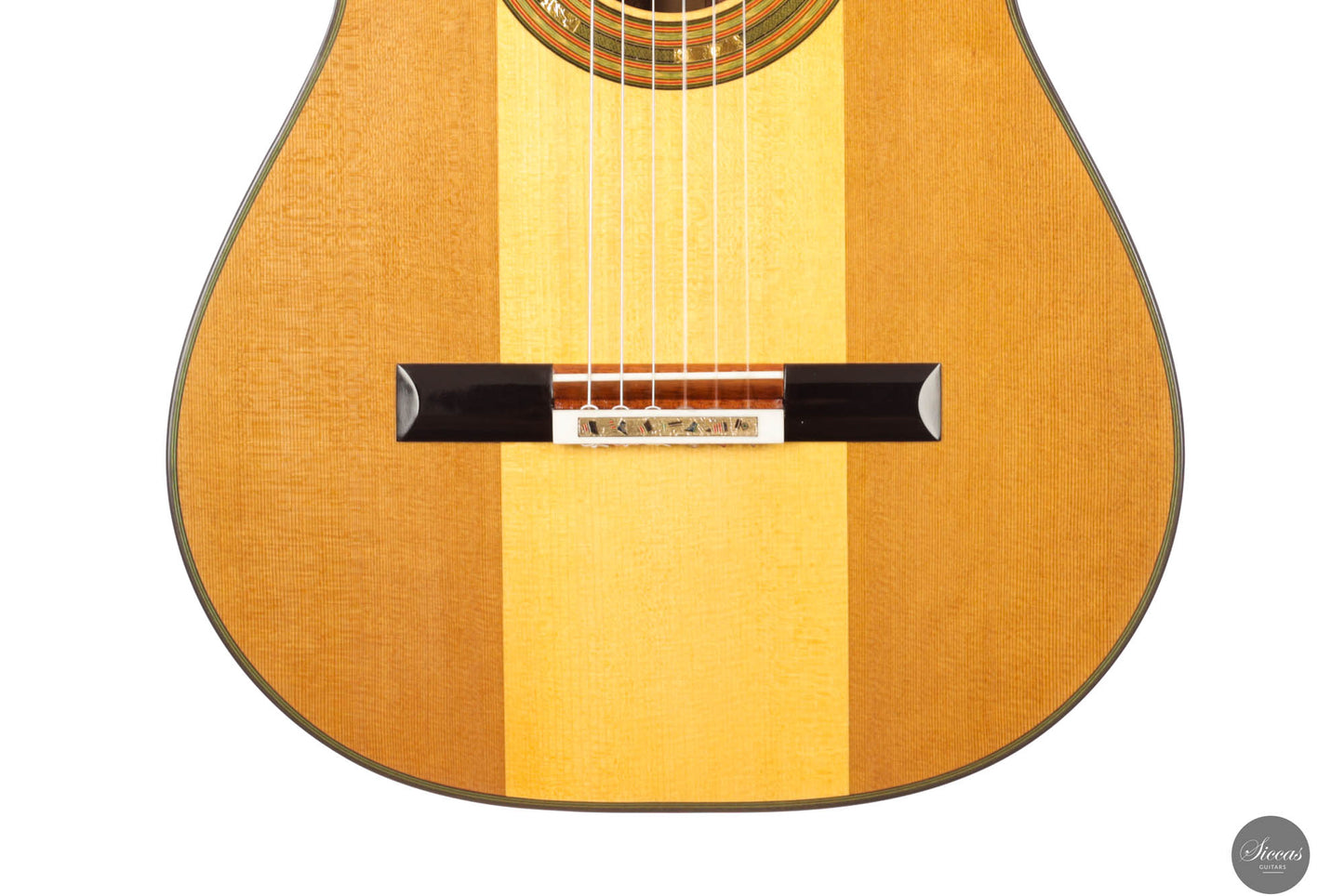 Jialan Chen - 2024 Coclea Thucea “Fibonacci” 64 cm
