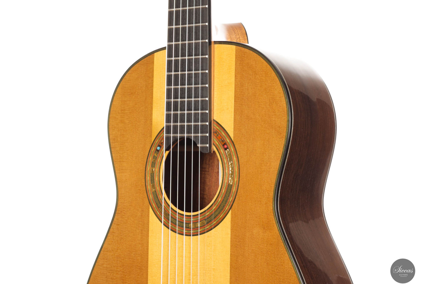 Jialan Chen - 2024 Coclea Thucea “Fibonacci” 64 cm
