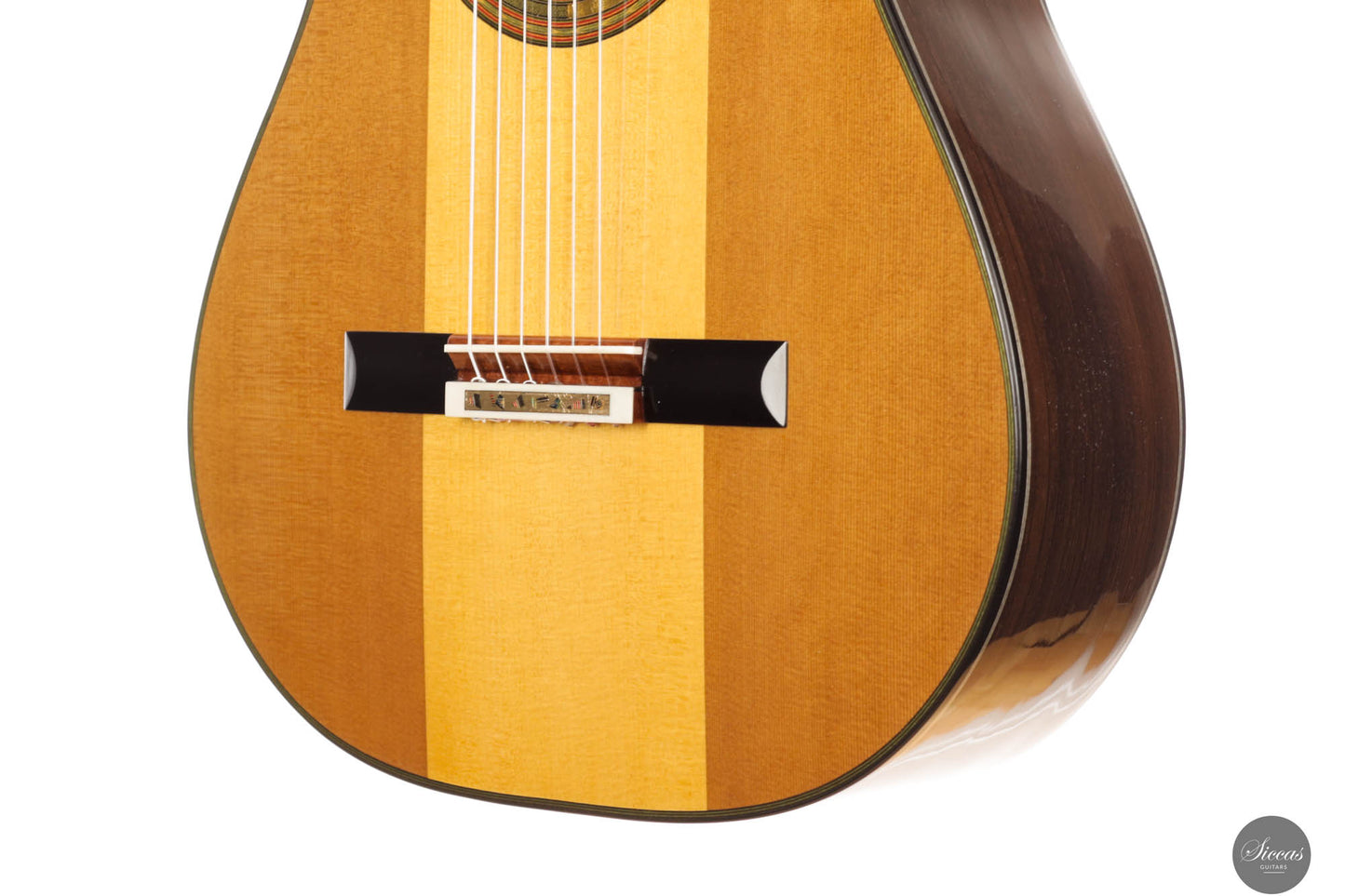 Jialan Chen - 2024 Coclea Thucea “Fibonacci” 64 cm