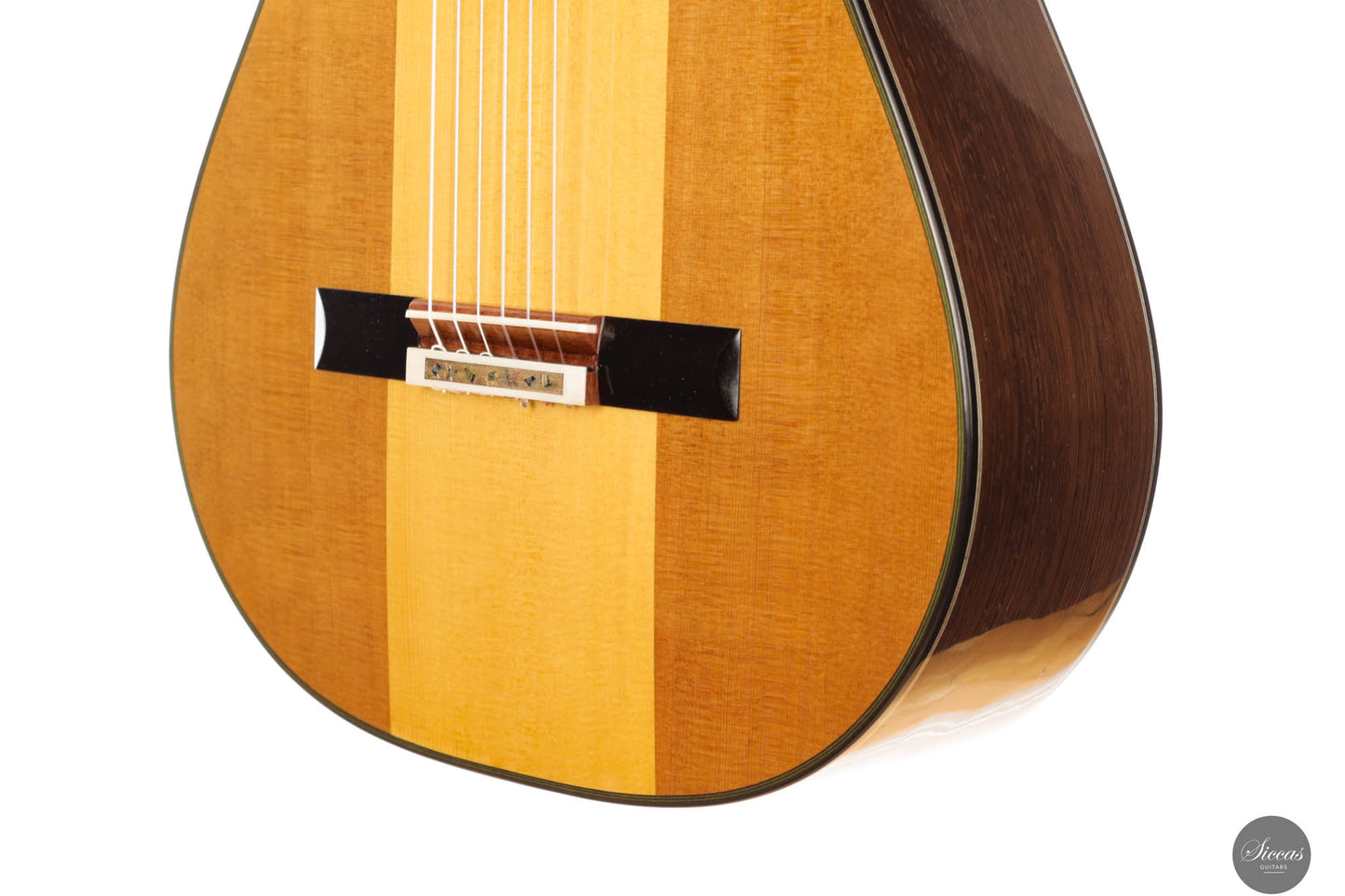 Jialan Chen - 2024 - Coclea Thucea “Fibonacci”