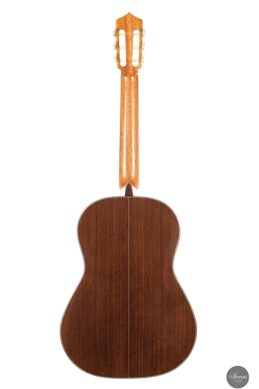 Jialan Chen - 2024 - Coclea Thucea “Fibonacci”