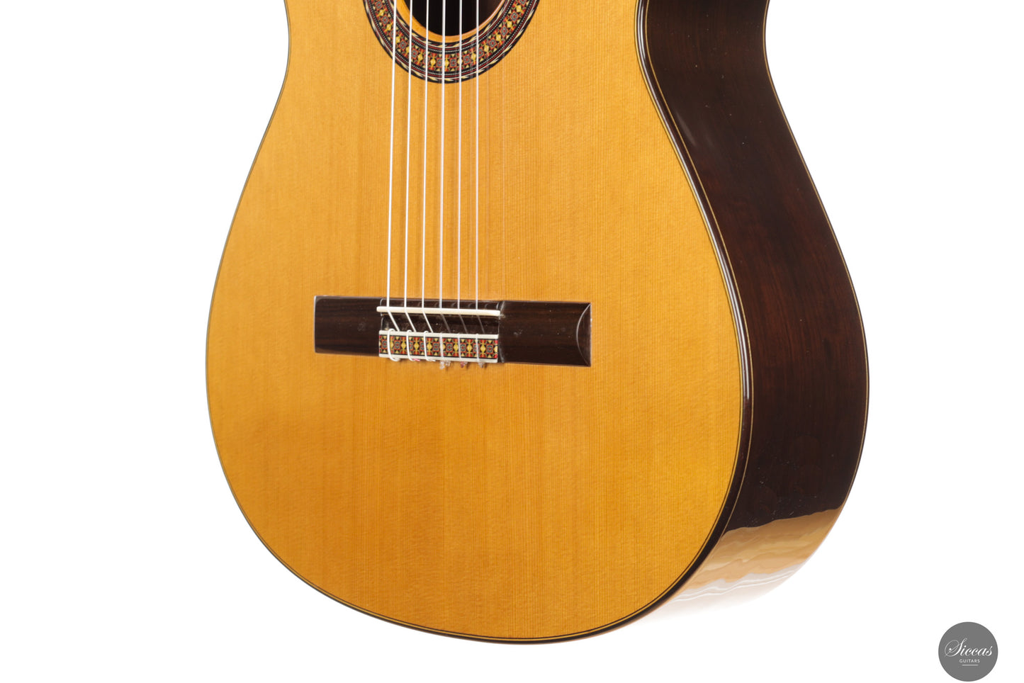 José Salinas - 2025 - Cedar/Madagascar