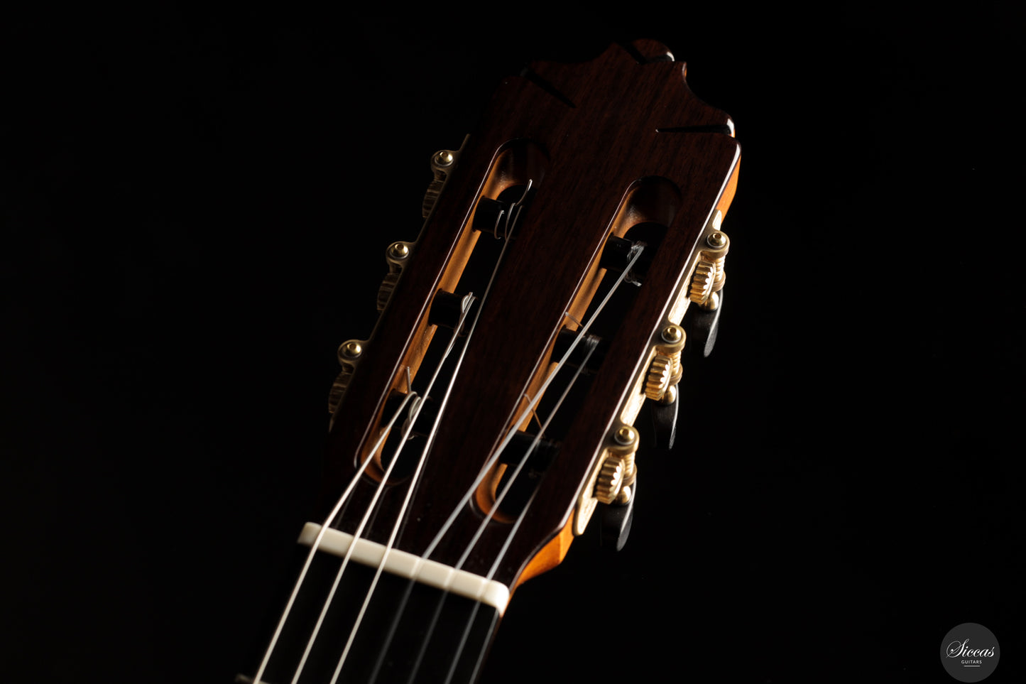 José Salinas - 2025 - Cedar/Madagascar