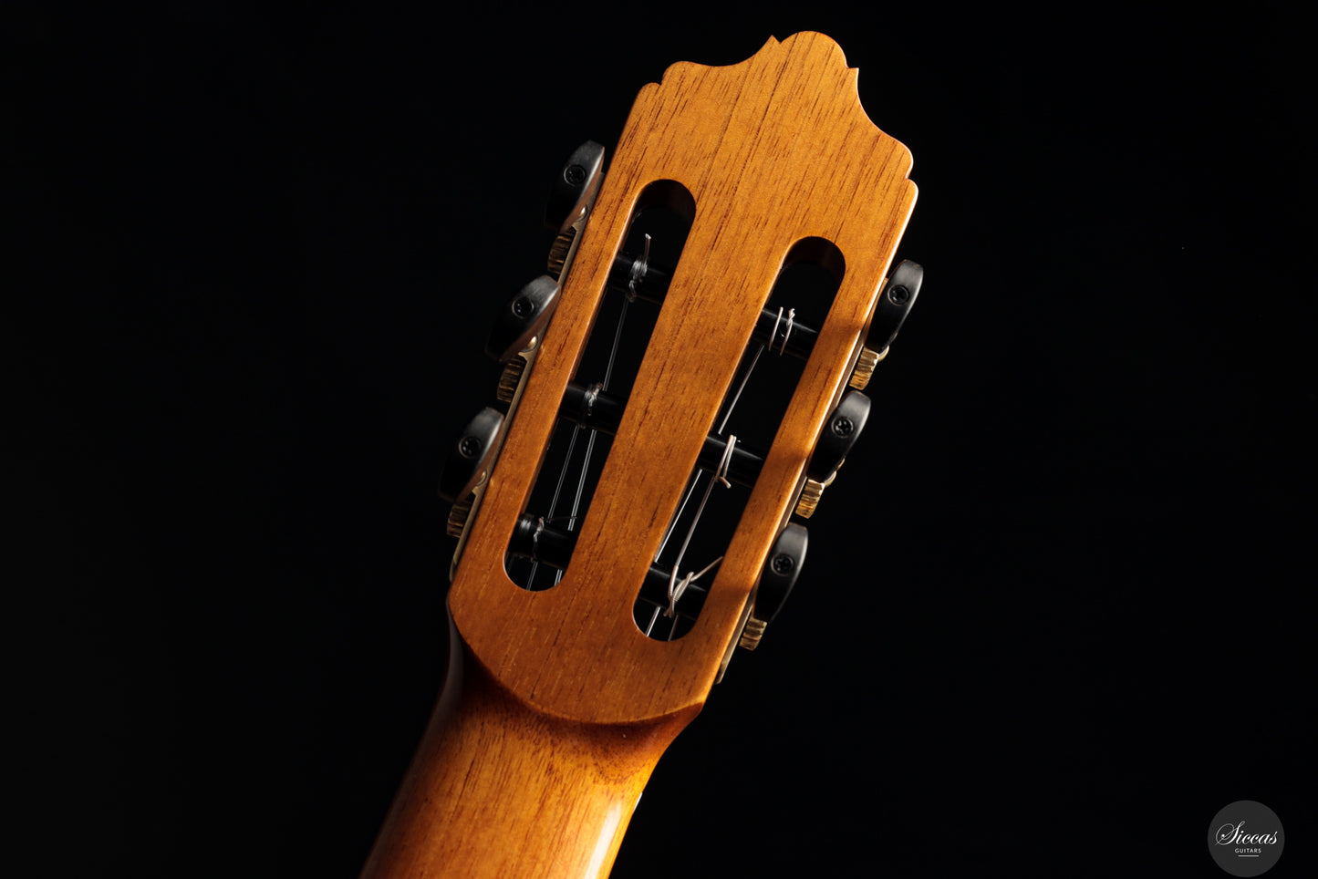José Salinas - 2025 - Cedar/Madagascar