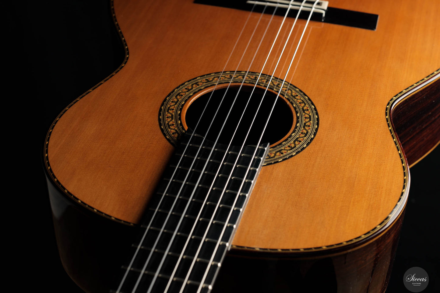 Juan Hernandez – 2024 Concierto Cedar