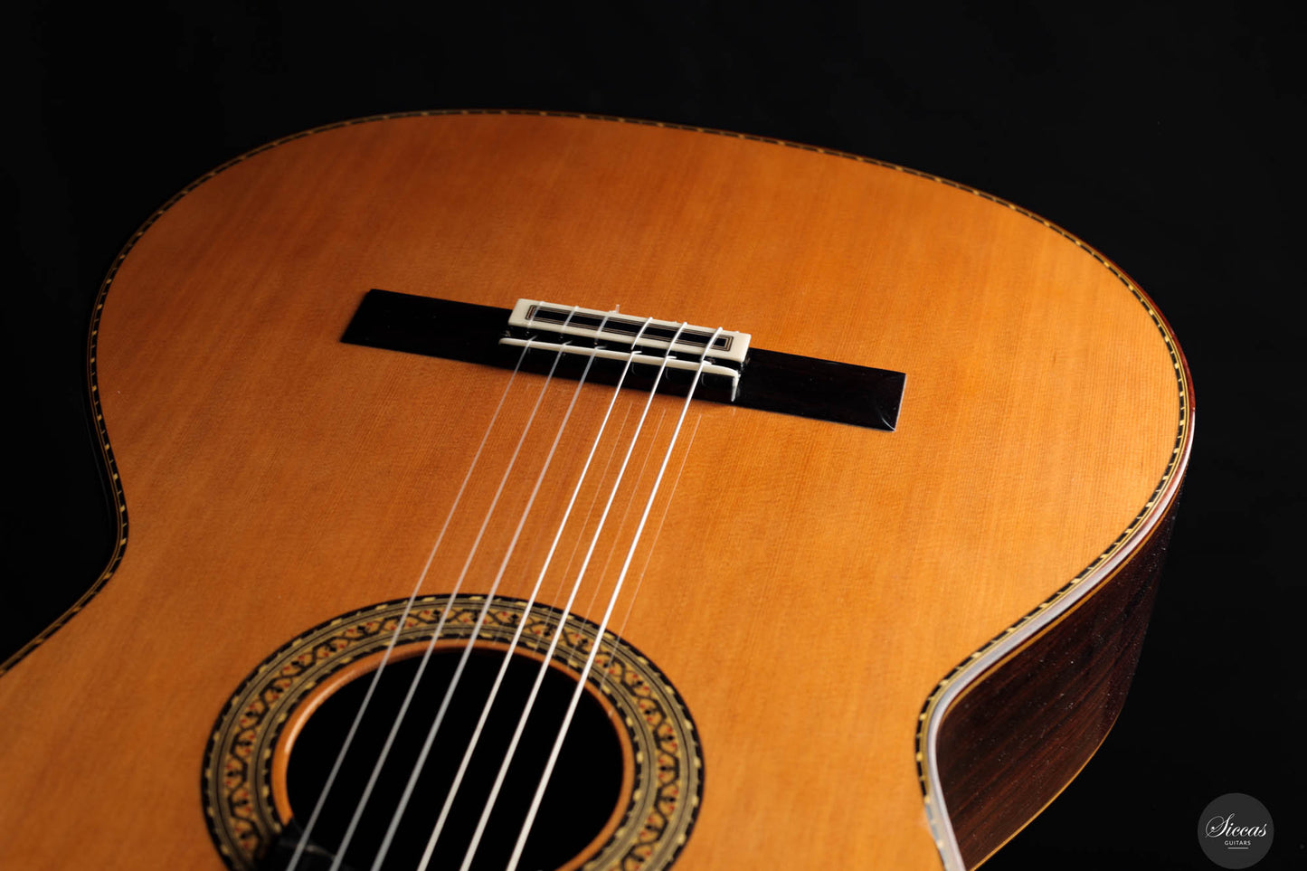 Juan Hernandez – 2024 Concierto Cedar