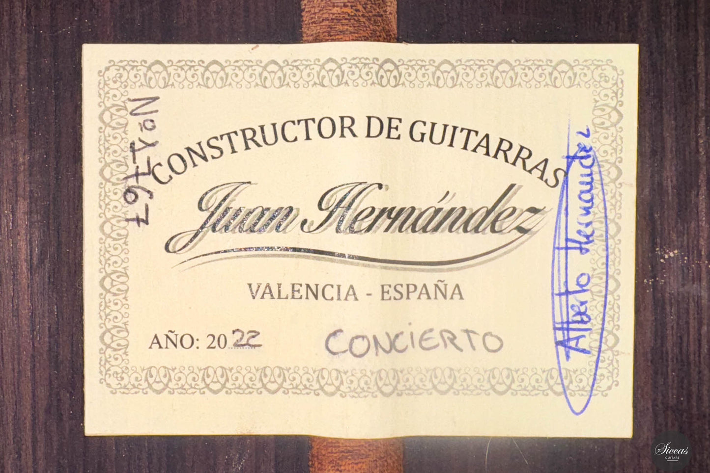 Juan Hernandez - 2024 Concierto Spruce