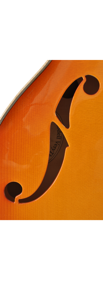 David Jünger – 2013 Archtop