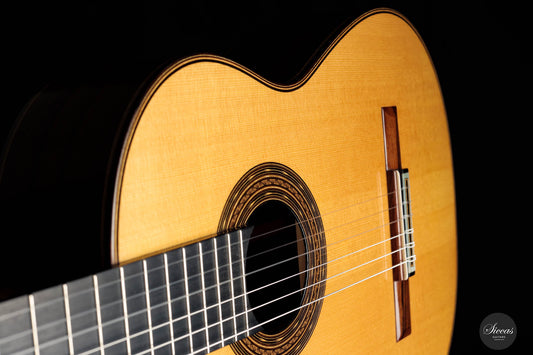 Karel Dedain – 2015 Arias img-2