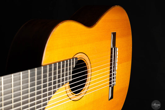 Kazuo Sato - 1976 Ten String img-2