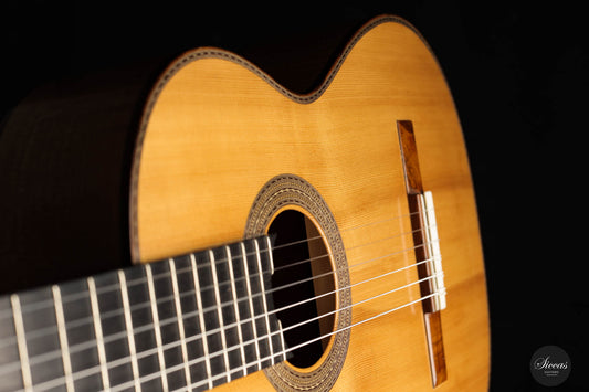 Kenny Hill - 2005 Torres 64 cm img-2