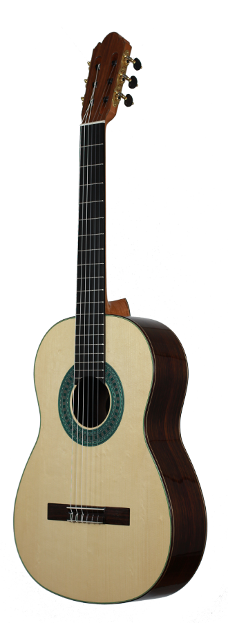 Milestones - Torres Model