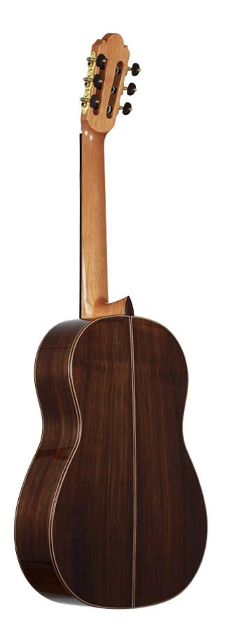 Milestones - Torres Model