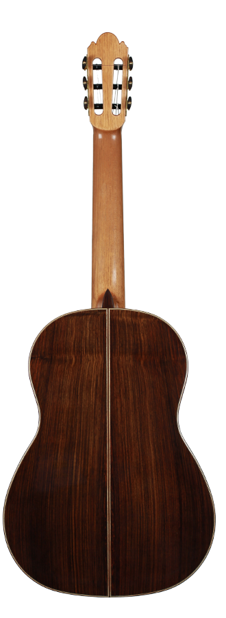 Milestones - Torres Model