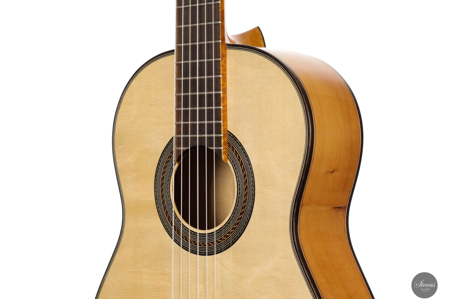 Leonardo de Gregorio/Romano Gambacorta - 2024 No. 15 REG 2024 Limited Edition Doubletop