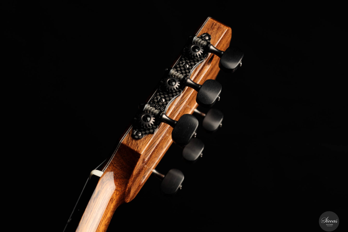 Liuteria Guarnieri – 2024 REG 2024 Limited Edition