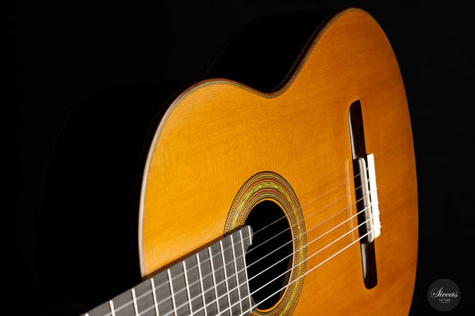 Lorenzo Frignani – 2022 Cedar No. 252 img-2