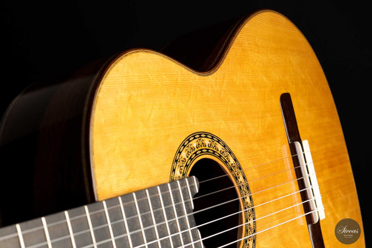 Lorenzo Frignani - 2022 No. 248 img-2